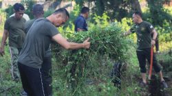 Kodim 1202/Skw Dukung Gerakan ASRI melalui Kerja Bhakti Bersama Pemerintah Kota.
