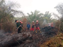 Kodim 1210/Landak Intensifkan Patroli Karhutla, 7 Titik Hotspot Terdeteksi di Desa Pak Mayam
