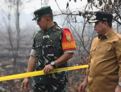 Antisipasi Karhutla, TNI AD Segel 120 Hektar Lahan Terbakar di Musi Banyuasin dan Perketat Pengawasan Teritorial